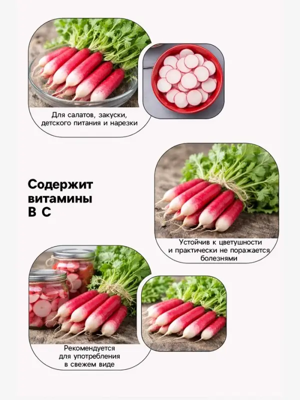 Семена Редис &laquo;18 дней&raquo;, 3 г, &laquo;Сембат&raquo;