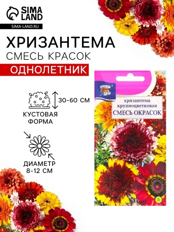 Семена Цветов Хризантема многолетняя &laquo;Смесь окрасок&raquo;, крупноцветковая, 0.02 г, &laquo;Урожай удачи&raquo;