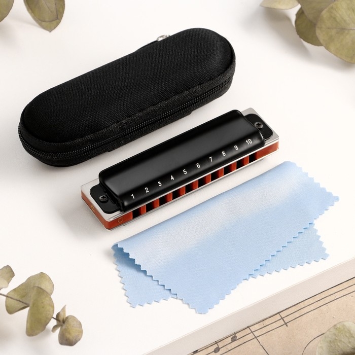 Губная гармошка Music Life T008L  C диатоническая, 10 отверстий, с футляром Губная гармошка Music Life T008L  C диатоническая, 10 отверстий, с футляром