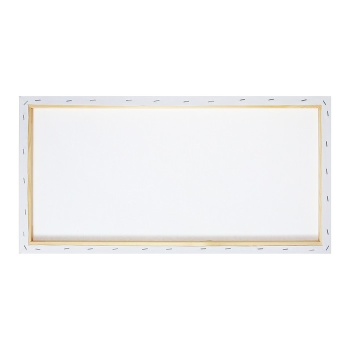 Холст на подрамнике хлопок 100% акрил грунт 1,6*30*60 см м/з 280г/м²