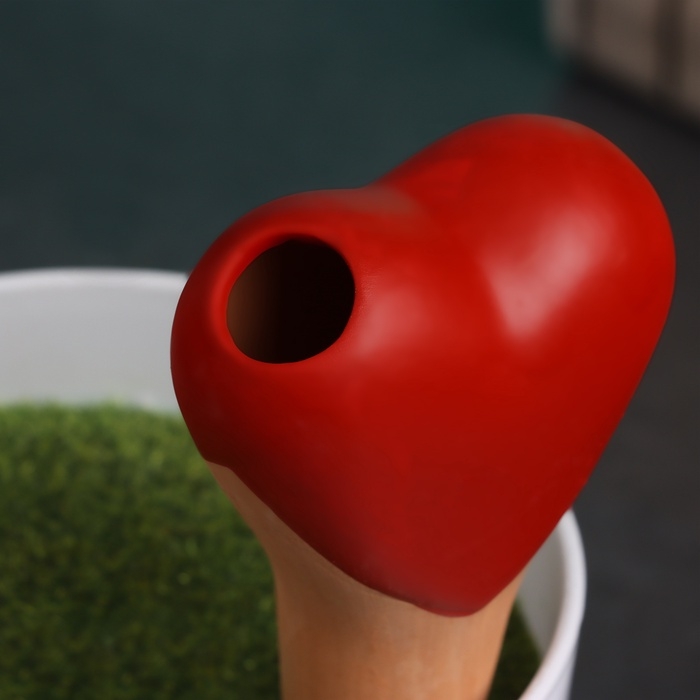 Ороситель «Сердечко», 14×4.6см, цвет МИКС, набор 4 шт. Ороситель «Сердечко», 14×4.6см, цвет МИКС, набор 4 шт.