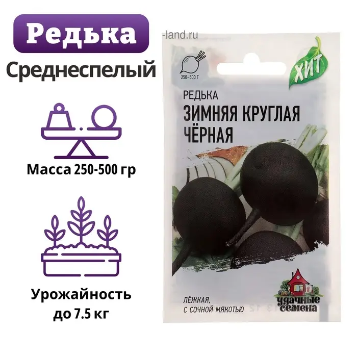 Семена Редька Зимняя круглая, чёрная, ц/п, 1 г  серия ХИТ х3 Семена Редька Зимняя круглая, чёрная, ц/п, 1 г  серия ХИТ х3