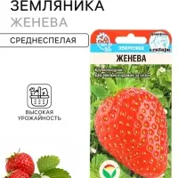 Семена Земляника &laquo;Женева&raquo;, 10 шт., крупноплодная, &laquo;Сибирский сад&raquo;