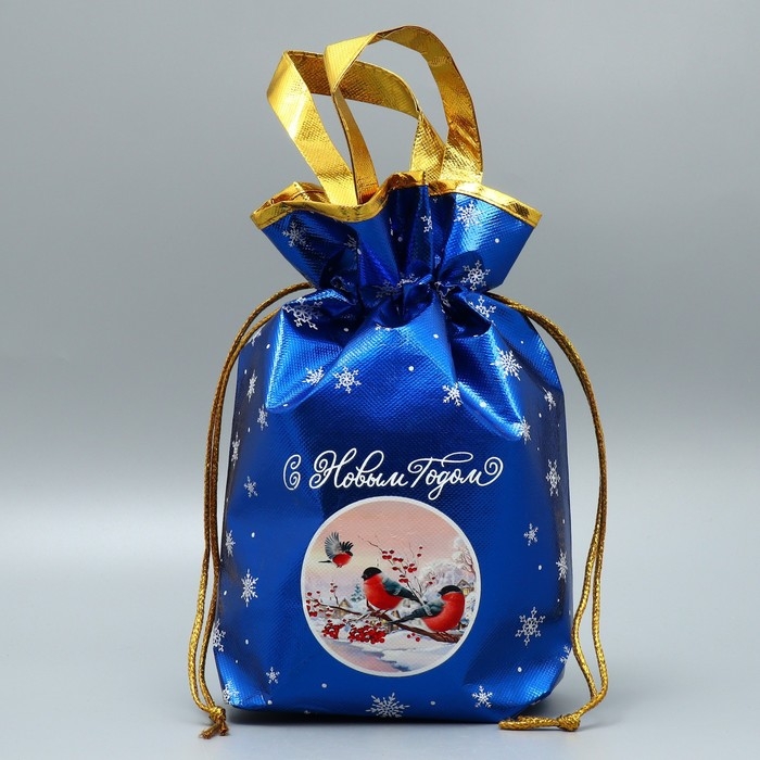 Пакет-мешок из нетканного материала «Поверь в сказку», 25 х 32 см, Новый год Пакет-мешок из нетканного материала «Поверь в сказку», 25 х 32 см, Новый год