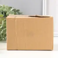 Сувенир полистоун "Лягушонок на коряге с улиткой на голове" 9,5 см