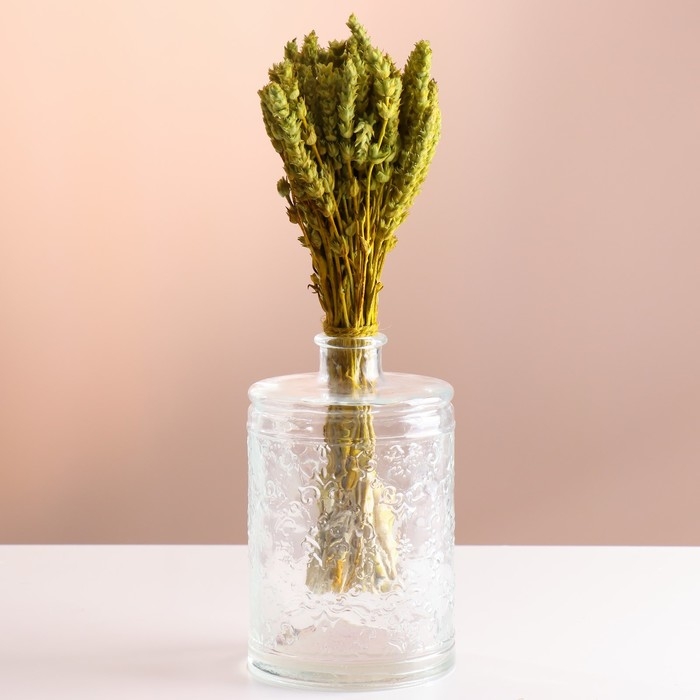 Набор сухоцветов Набор сухоцветов "Железница", банч длина 35 (+/- 6 см), фисташковый