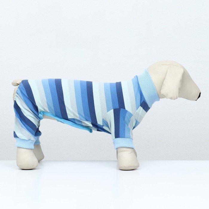 Попона послеоперационная, вискоза, размер ХL  (ОШ 31, ОГ 50, ОТ 39 см, вес 12-18 кг), голуба   96146 Попона послеоперационная, вискоза, размер ХL  (ОШ 31, ОГ 50, ОТ 39 см, вес 12-18 кг), голуба   96146