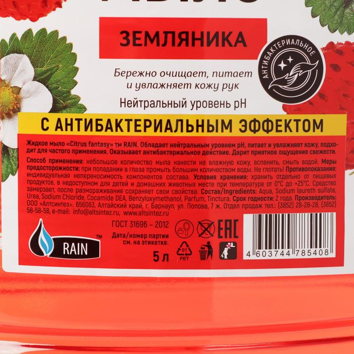 Мыло жидкое Rain Standart, антибактериальное, земляника, ПЭТ, 5 л Мыло жидкое Rain Standart, антибактериальное, земляника, ПЭТ, 5 л