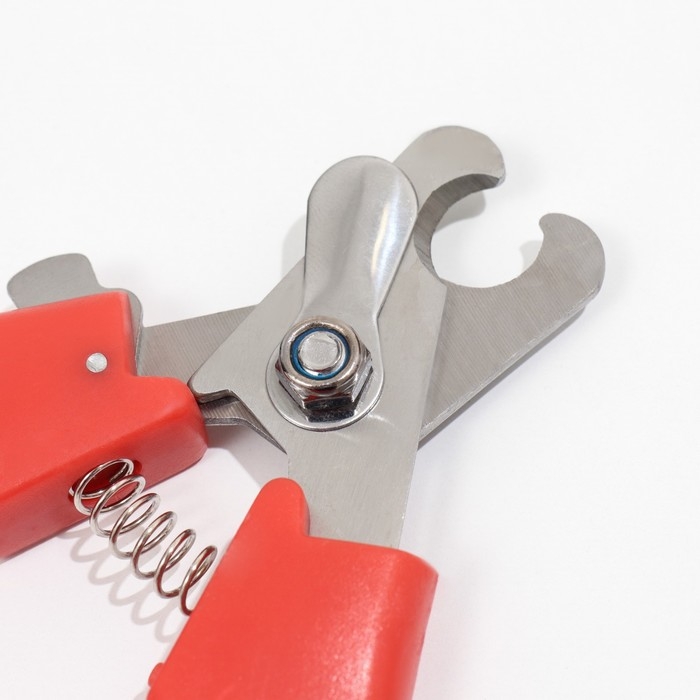 Когтерез боковой большой с прямыми ручками, 16,2 х 5,5 х 1,3 см, эконом, микс цветов Когтерез боковой большой с прямыми ручками, 16,2 х 5,5 х 1,3 см, эконом, микс цветов