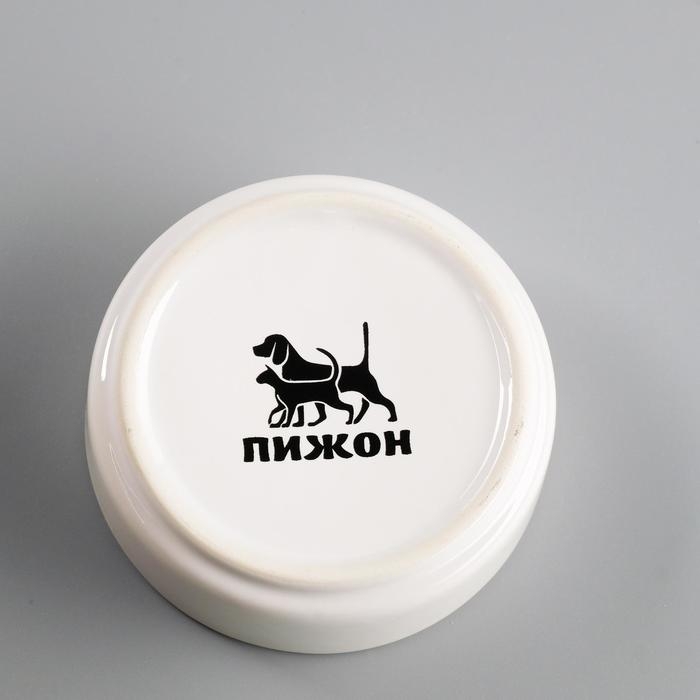 Миска керамическая для грызунов Миска керамическая для грызунов "Сытая мордочка" 80 мл 8,5 х 3 см