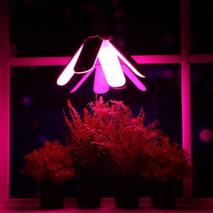 Фитолампа светодиодная, E27, 32 Вт, IP 20, 220 В, четырехлепестковая, складная, мультиспектральная 7 Фитолампа светодиодная, E27, 32 Вт, IP 20, 220 В, четырехлепестковая, складная, мультиспектральная 7