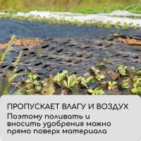 Агроткань застилочная, с разметкой, 10 × 1,1 м, плотность 100 г/м², полипропилен, Greengo, Эконом 50%