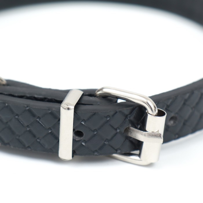 Ошейник рифленый с 2 рядами клепок, 33 х 1,2 см, ОШ 23-29, черный Ошейник рифленый с 2 рядами клепок, 33 х 1,2 см, ОШ 23-29, черный