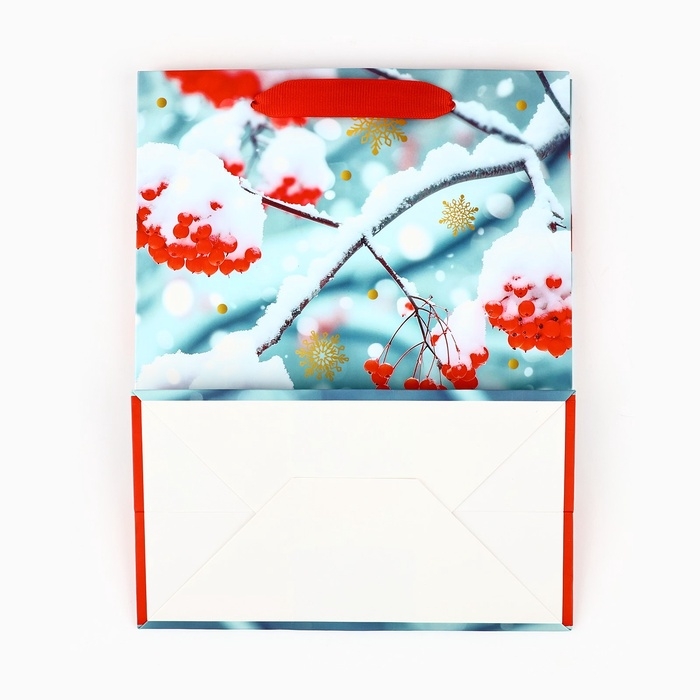 Пакет подарочный новогодний ламинированный «Рябина», MS 23 x 18 х 10 см Пакет подарочный новогодний ламинированный «Рябина», MS 23 x 18 х 10 см