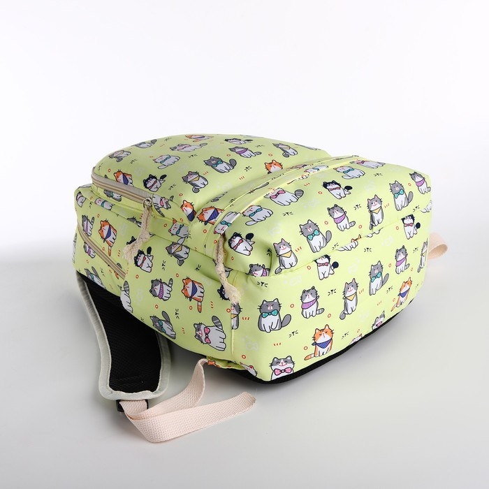 Рюкзак школьный на молнии, сумка, косметичка, цвет жёлтый