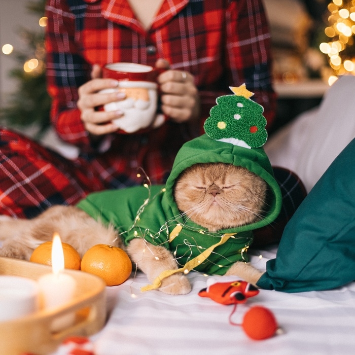 Костюм для животных Костюм для животных "Ёлка", размер S, зелёный