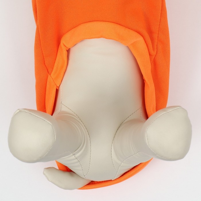 Толстовка Толстовка "Любимая морковка", размер S (ДС 25, ОГ 38см)