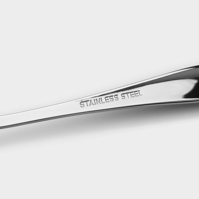 Ложка столовая из нержавеющей стали «Милано», длина 18,5 см, цвет серебряный Ложка столовая из нержавеющей стали «Милано», длина 18,5 см, цвет серебряный