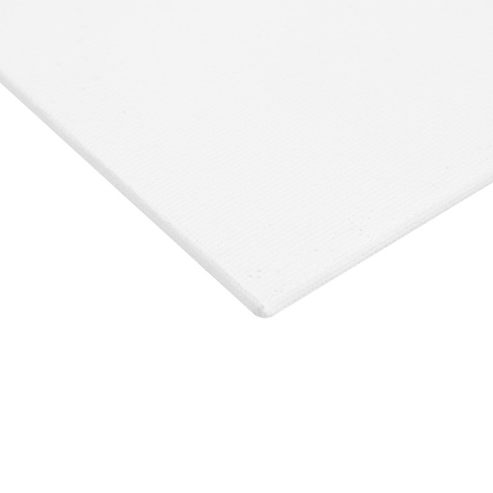 Холст на картоне 24 х 30 см, 100% хлопок, 280 г/м2, мелкое зерно Холст на картоне 24 х 30 см, 100% хлопок, 280 г/м2, мелкое зерно