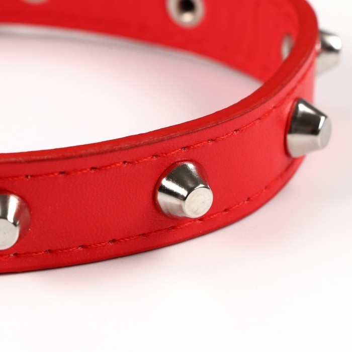 Ошейник с затупленными шипами, 45 х 2 см, микс цветов Ошейник с затупленными шипами, 45 х 2 см, микс цветов