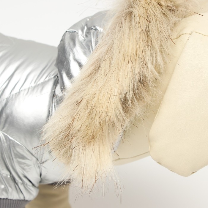 Комбинезон Комбинезон "Мальчик" с утяжкой, размер 16 (ДС 36 см, ОГ 46 см, ОШ 35 см), серебряный