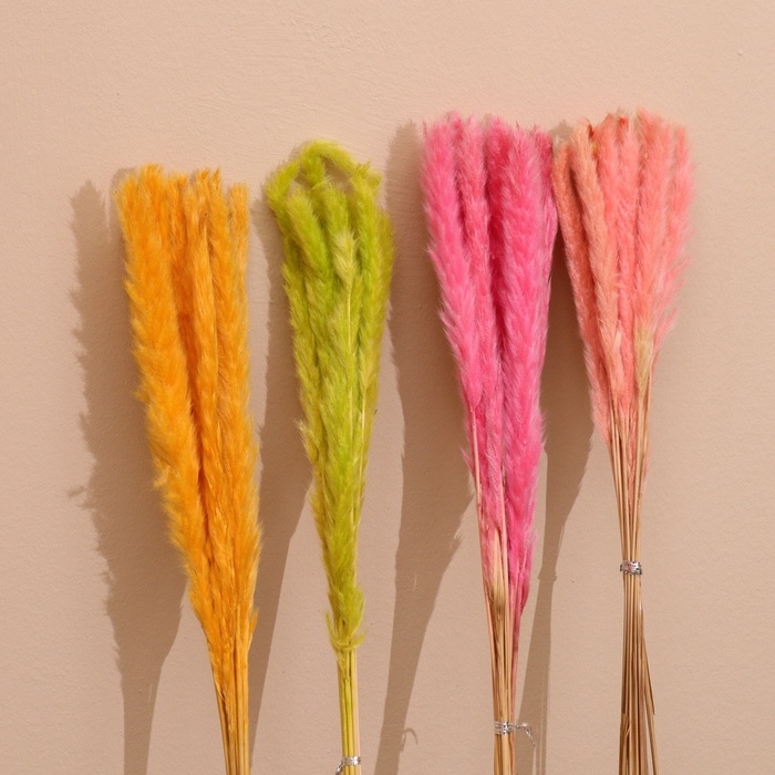 Набор сухоцветов 80 см (10 шт) микс Набор сухоцветов 80 см (10 шт) микс