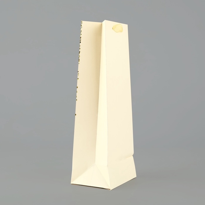 Пакет под бутылку «Подарок», глиттер, 13 х 36 х 10 см Пакет под бутылку «Подарок», глиттер, 13 х 36 х 10 см