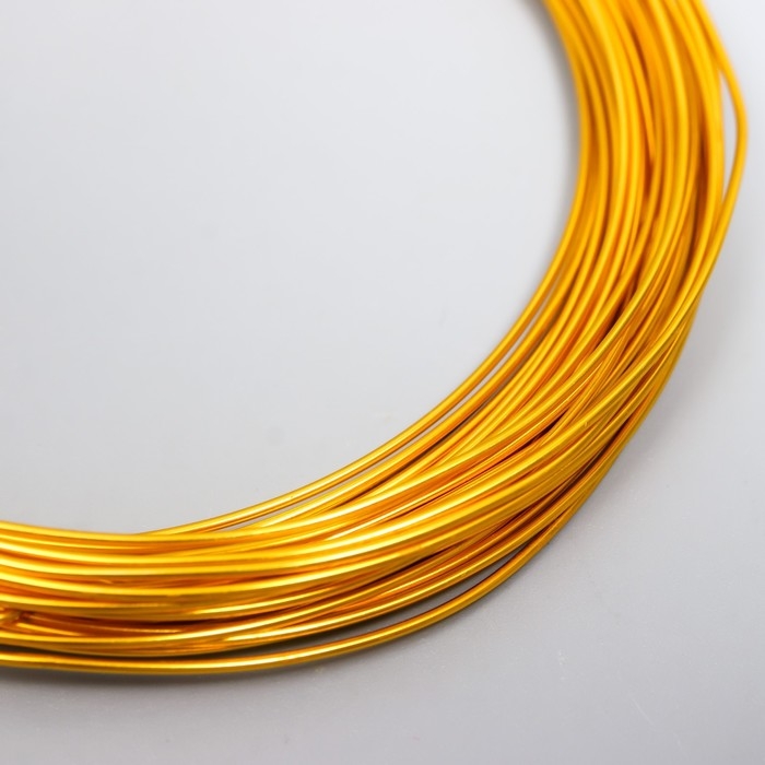 Проволока для творчества d 1мм, золото рул.10 м Проволока для творчества d 1мм, золото рул.10 м