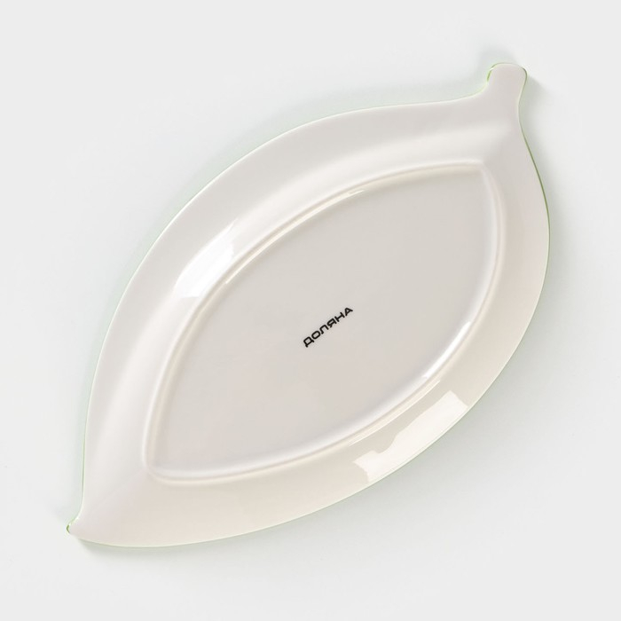 Блюдо фарфоровое Доляна «Зелёный сад», 28×14,5×2 см, цвет белый