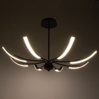 Люстра "Элеганс" LED 64Вт 3000-6000К черный 100х100х45 см BayerLux