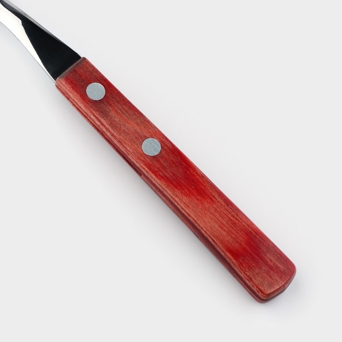 Ложка столовая Tramontina Polywood, цвет каштановый Ложка столовая Tramontina Polywood, цвет каштановый