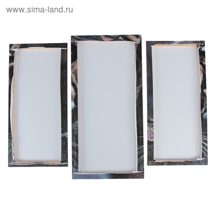 Модульная картина  Модульная картина "Тигровый взгляд"  (2-25х52; 1-30х60) 60х80 см