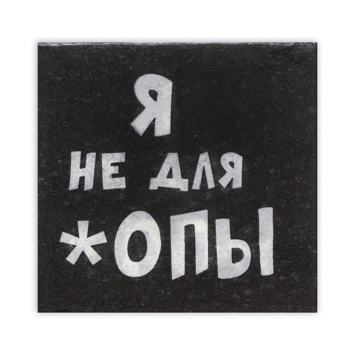 Салфетки бумажные однослойные Гармония цвета «Я не для *опы», 24х24 100 шт. уп Салфетки бумажные однослойные Гармония цвета «Я не для *опы», 24х24 100 шт. уп