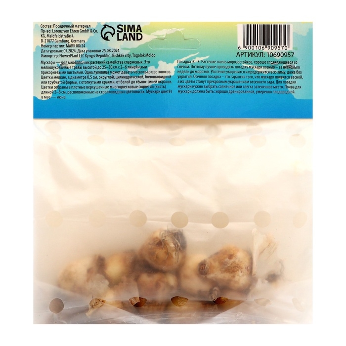 Мускари Сибериан Тайгер, р-р 7/8, 10 шт, Осень 2024 Мускари Сибериан Тайгер, р-р 7/8, 10 шт, Осень 2024