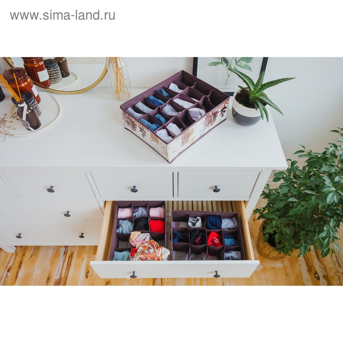 Органайзер для хранения белья Доляна «Астра», 16 ячеек, 36×28×12 см, цвет МИКС Органайзер для хранения белья Доляна «Астра», 16 ячеек, 36×28×12 см, цвет МИКС