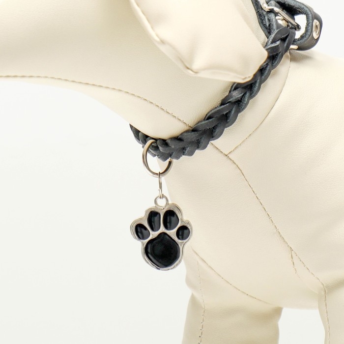 Адресник под гравировку  Адресник под гравировку "Лапа", фасовка по 6 шт, 2,6 х 3,2 см, микс цветов