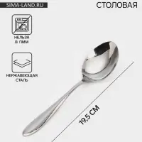 Ложка столовая &laquo;Соло&raquo;, длина 19.5 см, толщина 2 мм, нержавеющая сталь, серебристая