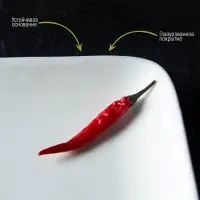 Блюдо прямоугольное Доляна White Label, 24.5&times;15.5 см, фарфор, белое