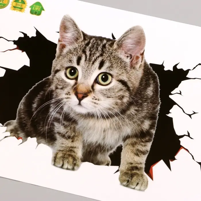 Наклейка интерьерная 3Д TAKE IT EASY &laquo;Котик&raquo;, 30&times;20 см