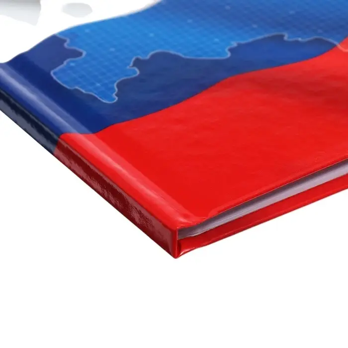 Дневник универсальный для 1-11 классов, "Символика-4", твердая обложка 7БЦ, глянцевая ламинация, 40 листов