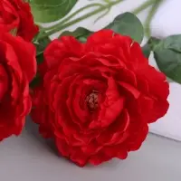 Цветы искусственные &laquo;Пион галант колор&raquo;, 74&times;10 см, красные