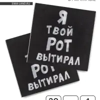 Салфетки бумажные однослойные &laquo;Я твой рот вытирал&raquo;, 24&times;24, 20 шт.