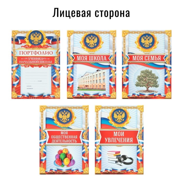 Папка школьная на кольцах «Портфолио школьника», 10 листов-разделителей, 24,5 х 32 см.