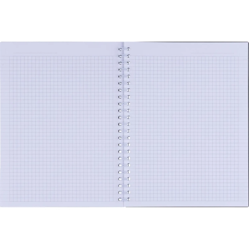 Бизнес-тетрадь, BS, А5, 80л., клетка, спираль. Botanica, агава N4185