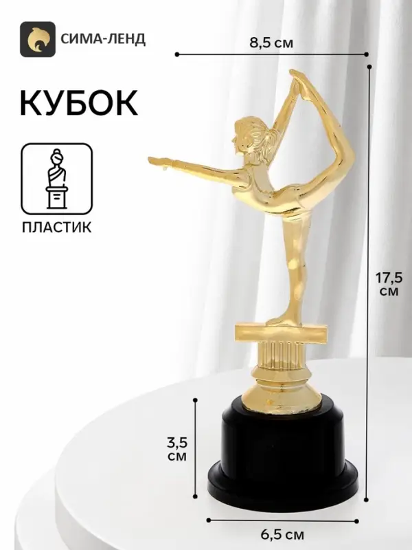 Кубок, наградная фигура &laquo;Гимнастика&raquo;, подставка пластик черная, 19&times;9&times;6.5 см