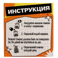 ЭВРИКИ Набор для опытов "Выращиваем травку", оранжевый