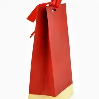 Пакет подарочный с лентой, упаковка, &laquo;Present&raquo;, 13&times;23&times;7 см