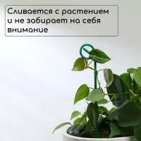 Колышек для подвязки растений, h=30 см, d=3 мм, проволочный, зелёный, Greengo