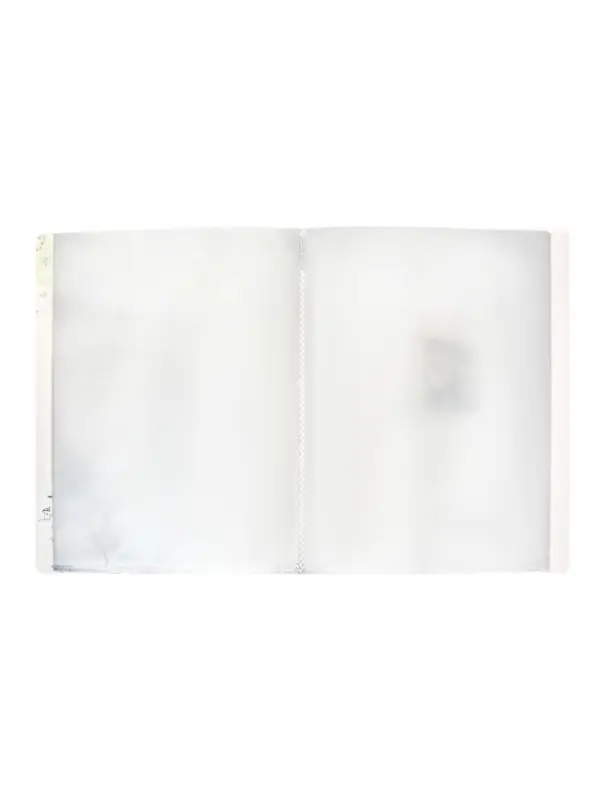 Папка формат А4, с 60 прозрачными файлами &laquo;Город&raquo;, МИКС