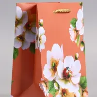 Пакет подарочный ламинированный &laquo;Гармония&raquo;, 11.5&times;14.5&times;6.5 см